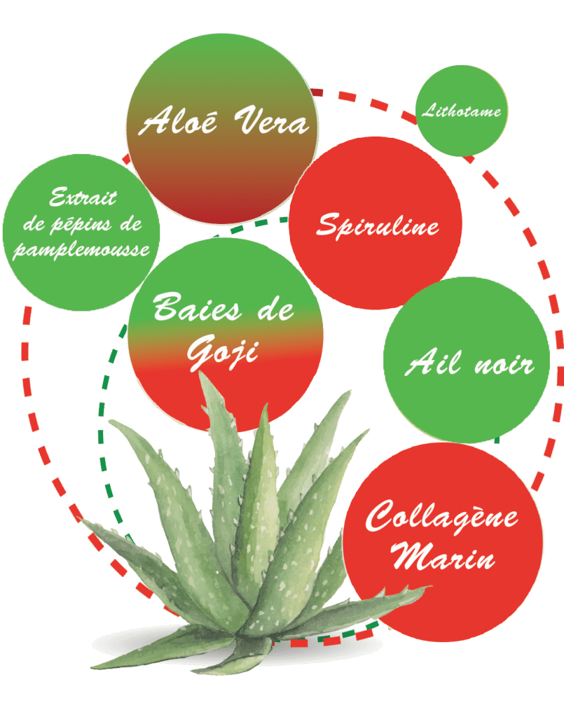 A propos de nous Zen Point Equilibre, Compléments alimentaires