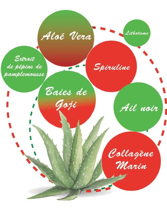 boutique de compléments alimentaires et Goji